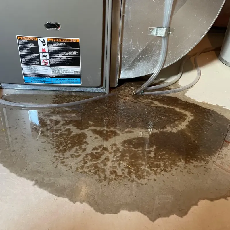 Appliance Leak Cleanup in Chapel Hill, NC